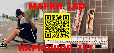 прущие грибы Будённовск