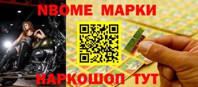 прущие грибы Будённовск