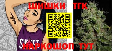 прущие грибы Будённовск