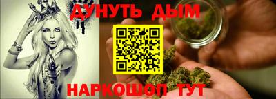 прущие грибы Будённовск