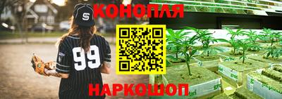 стафф Бугуруслан