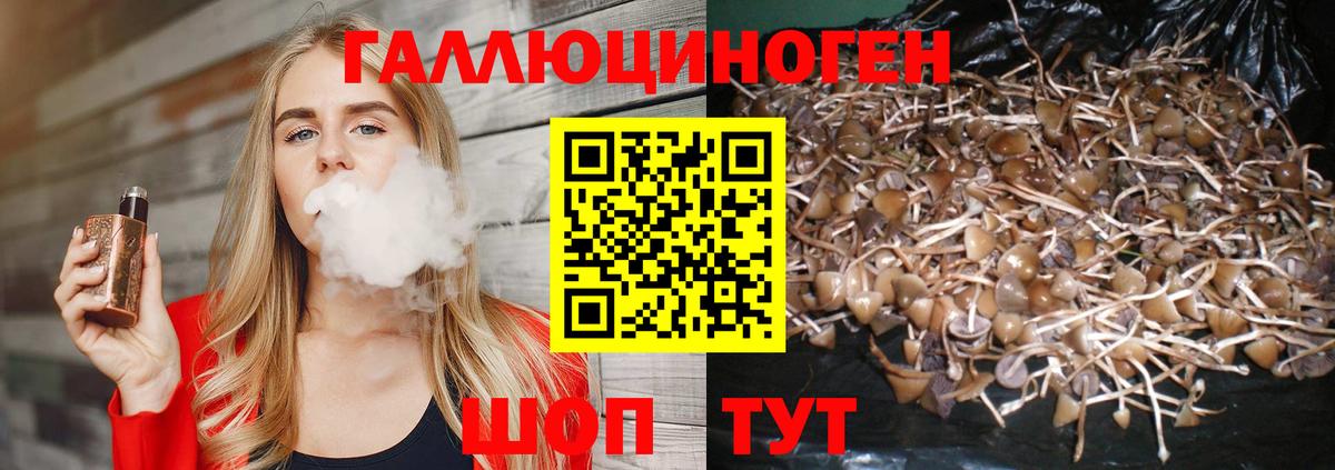 Псилоцибиновые грибы мухоморы Кушва
