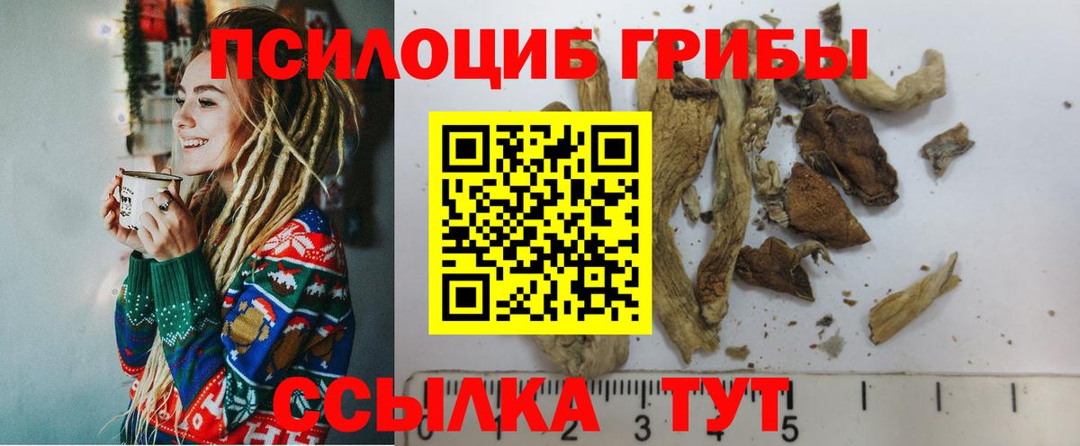 Кушва  Галлюциногенные грибы Cubensis  Галлюциногенные грибы MAGIC MUSHROOMS  Вход с VPN 